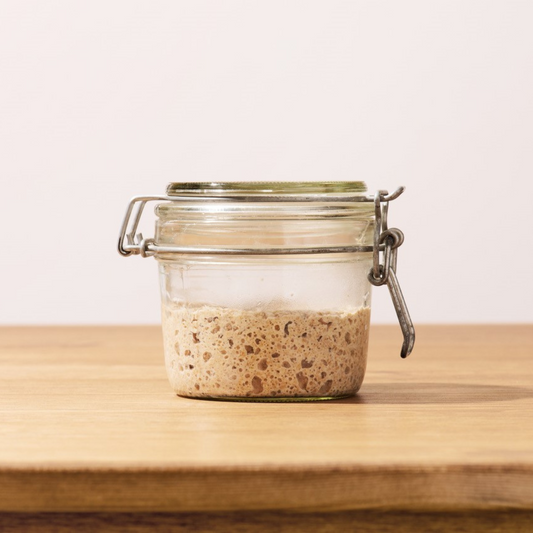 Sourdough Starter