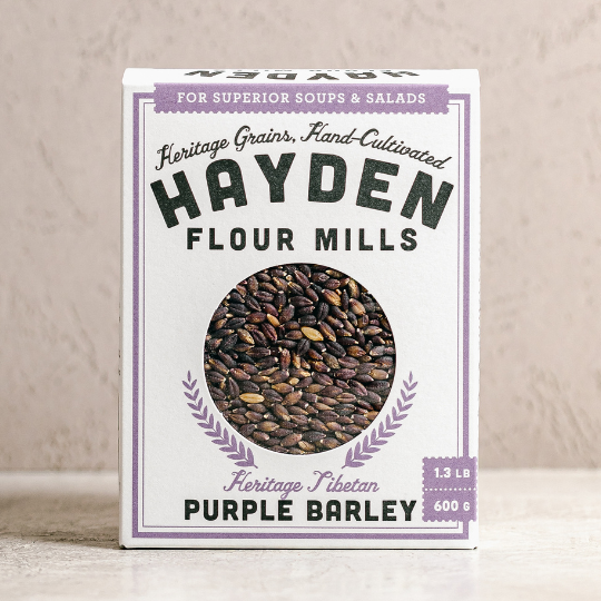 Purple Barley Berries