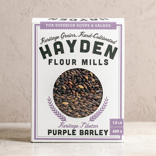 Purple Barley