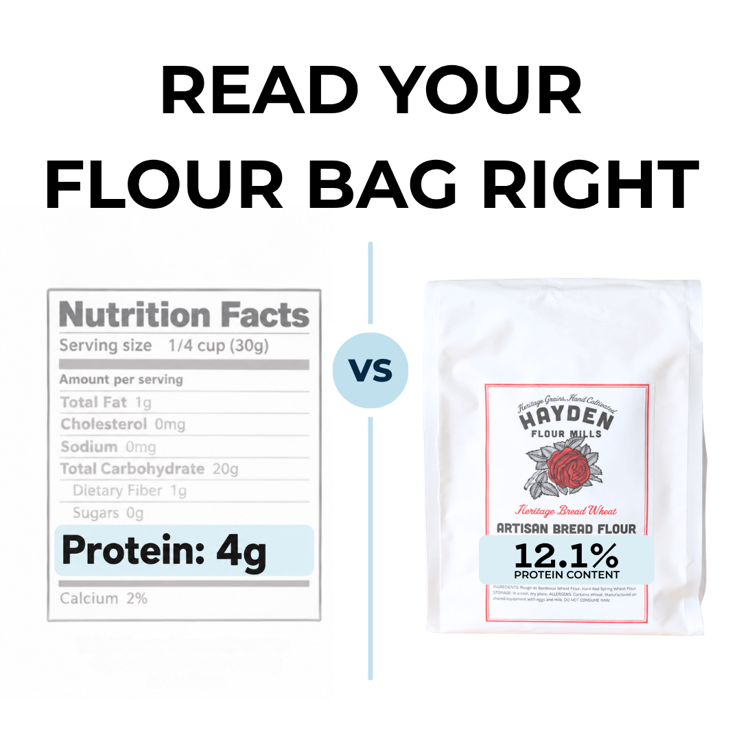What Protein Really Tells a Bread Baker