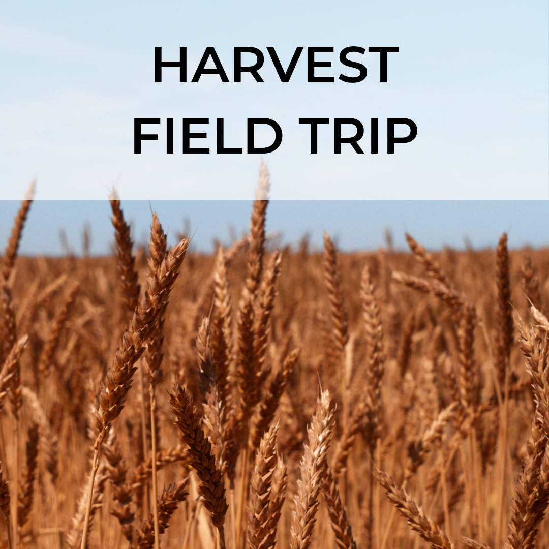 Fieldtrip with Hayden Flour Mills