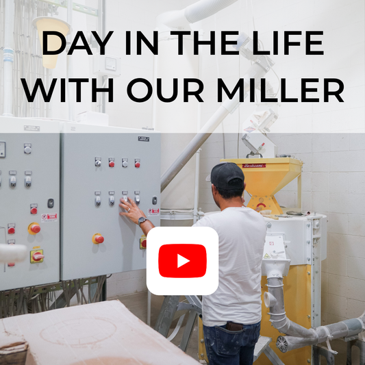 Day In The life With Our Miller Diego