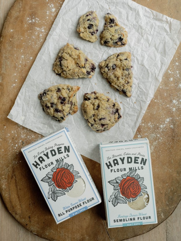 Blueberry Lemon Sourdough Discard Scones