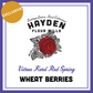 BULK DAYS: Vitrea Wheat Berries