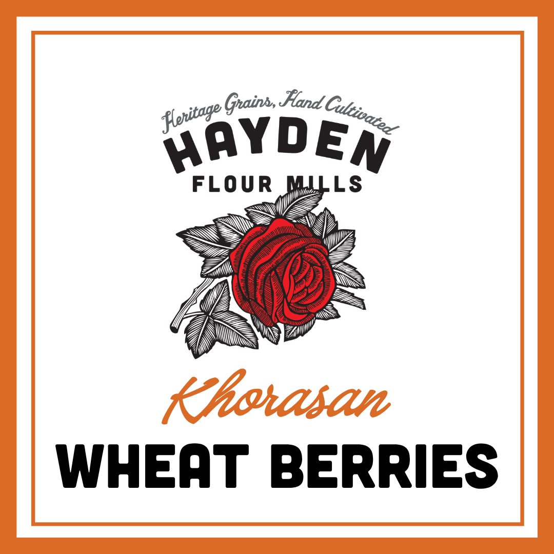 BULK DAYS: Khorasan Wheat Berries
