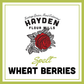 BULK DAYS: Spelt Wheat Berries