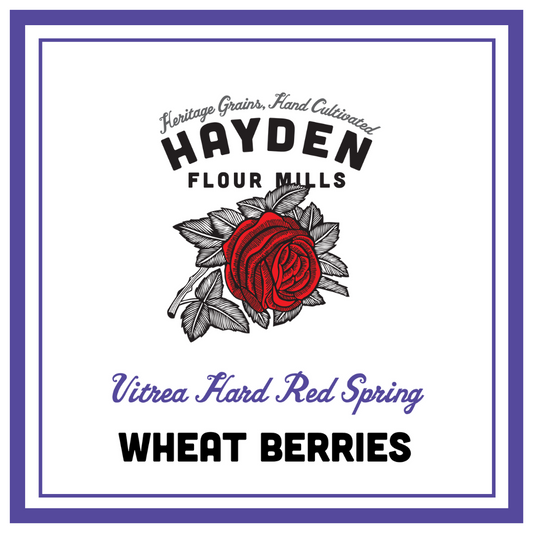 Vitrea Wheat Berries